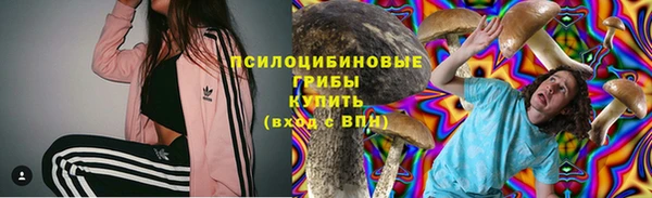 тгк Абаза