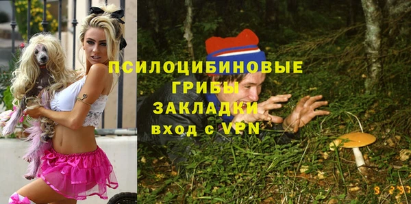 стафф Абинск