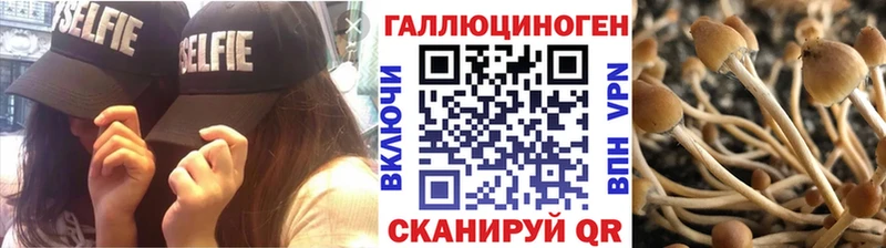 MEGA зеркало  купить закладку  Алейск  Псилоцибиновые грибы Psilocybe 